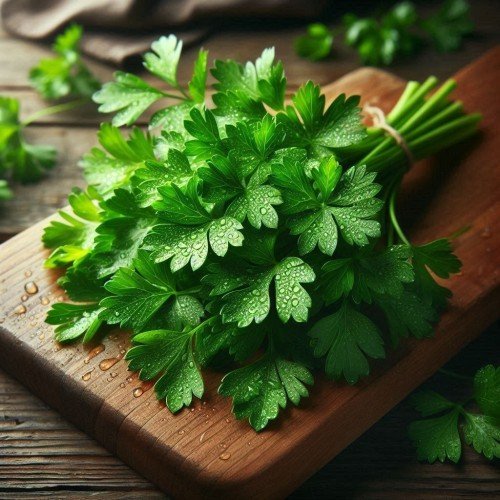 Cilantro