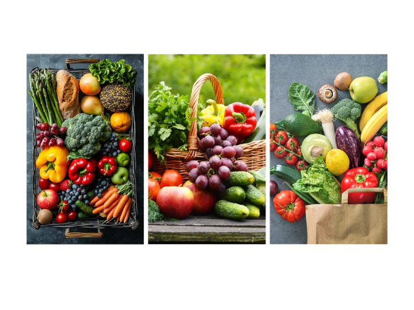 The Mango Company Export